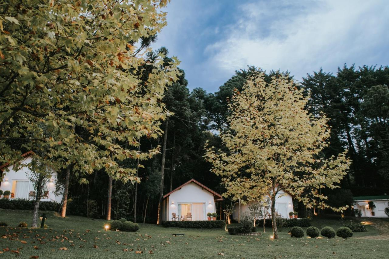 Roots Resort Монте Верде Екстериор снимка