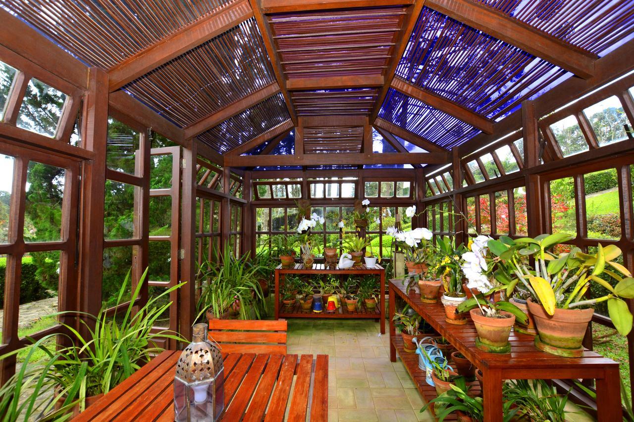 Roots Resort Монте Верде Екстериор снимка